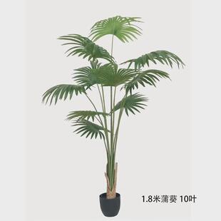 仿真植物蒲葵棕葵圆唐盆栽室内橱窗落地北欧装饰扇葵树假绿植盆