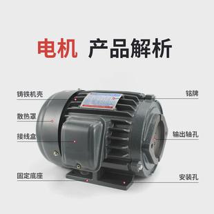 源头单元 现货液压站铜线电机0.75kw1hp三相异步电机液压动力厂家