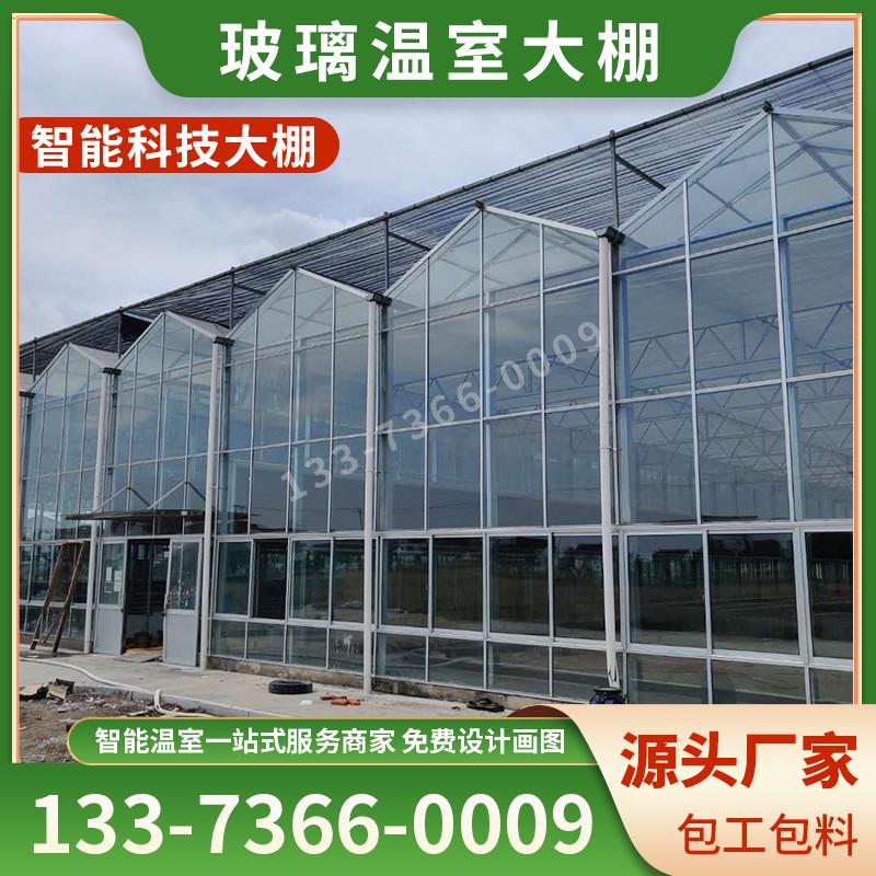 智能连栋玻璃温室大棚 纹络式外遮阳科技观光阳光板大棚骨架厂家