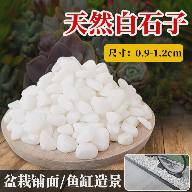 天然白石子庭院铺路鹅卵石白色石子颗粒小白阳台石头造景景观砾石