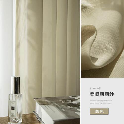 0fe9年丝绒纱帘透光不透人白纱窗纱客厅白色2021天新款纱幔窗