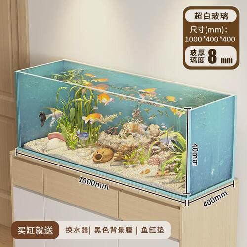 水陆两栖生态缸超白缸金晶鱼缸小型玻璃微景观雨林缸乌龟造景缸新