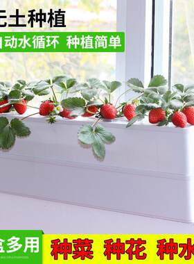厂家阳台无土栽培种菜盆设备 水培蔬菜草莓种植箱 智能水耕种花盆