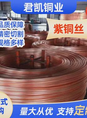 tp1紫铜丝紫铜线tp2紫铜软态红铜丝轴装紫铜线超细C1100紫铜丝