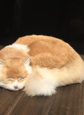 仿真猫咪动物模型家居装饰品桌面摆件真皮毛动物玩偶软装饰品摆设