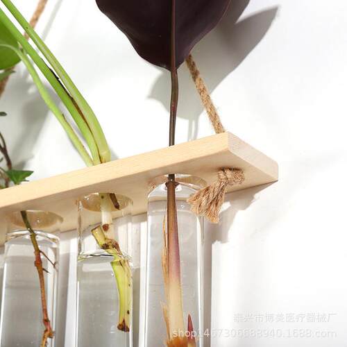厂家玻璃水培翻口喇叭口圆底平底玻璃花架试管水培支撑管可定制