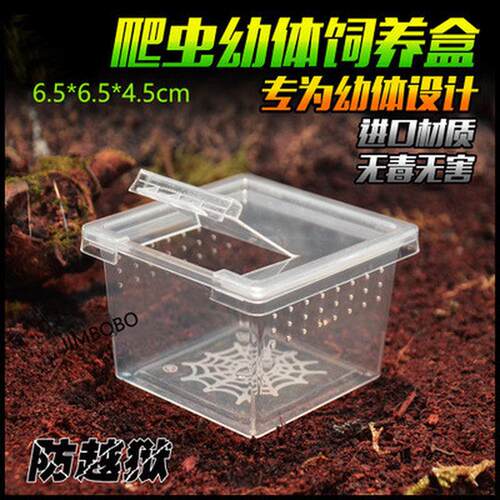 YC小方盒树地穴饲养盒宠物蜘蛛蝎子幼体高端透明爬虫盒饲养盒