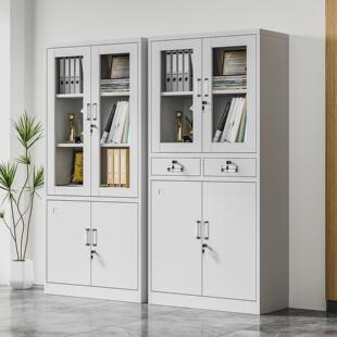 办公室文件柜铁皮柜子档案柜资料柜财务凭证柜带锁储物柜收纳书柜