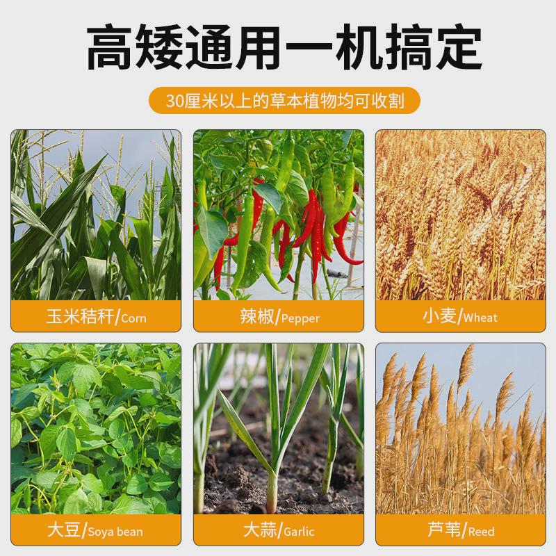 苜蓿玉米秸秆割晒机小型自走式割草机多功能小麦谷子牧草收割机