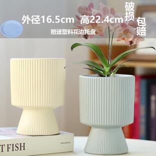 网红爆款蝴蝶兰花盆专用陶瓷兰花花盆白色简约多肉花盆