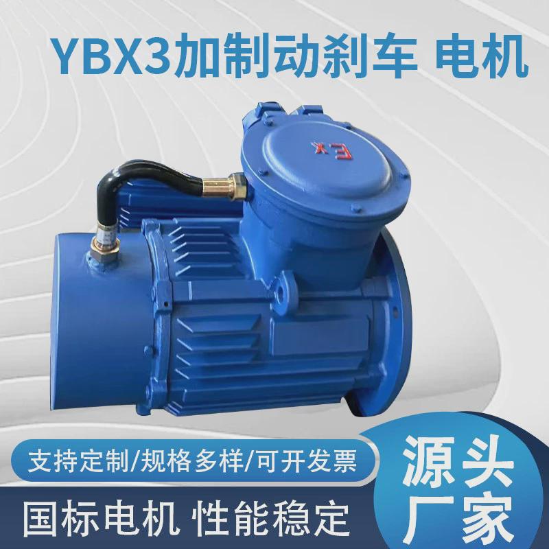 厂家直供清洗机配套电机三相异步ybx3设备制动刹车电机加