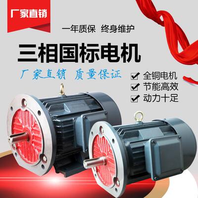 厂家批发三相变频调速电动机YVF2系列纯铜11kw-6极YVF2-160-6