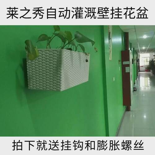 挂墙花盆壁挂绿萝长方形长条简约挂墙上花箱挂壁式储水懒人自吸水
