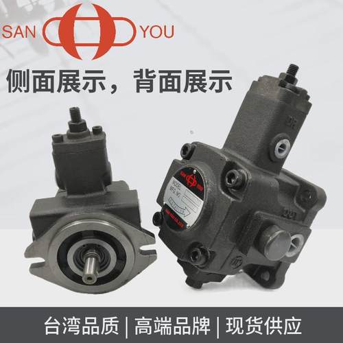 台湾三友SANYOU油泵VP1-20-70 VP2-40-70 VP1-12/15/30-35 55 70