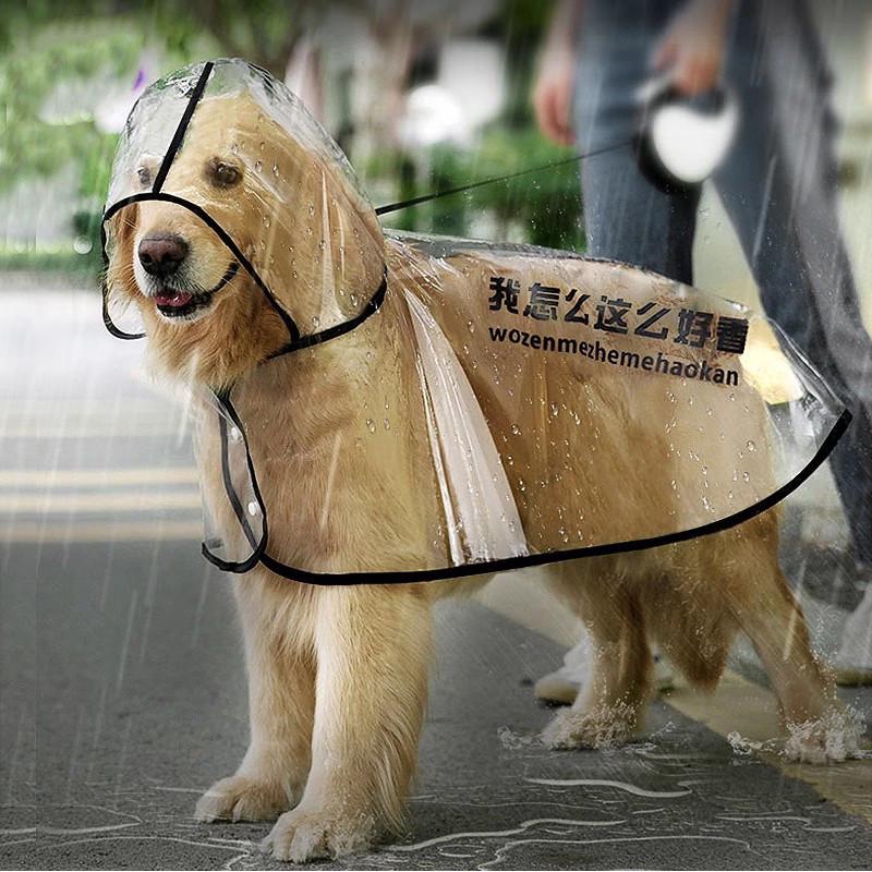 狗狗雨衣服防水全包金毛拉布拉多中型大型犬柴犬萨摩反光宠物雨披
