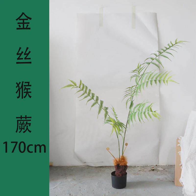 落地长毛猴头蕨金丝蕨盆栽仿真绿植装饰摆件蕨树蕨草盆景假植物