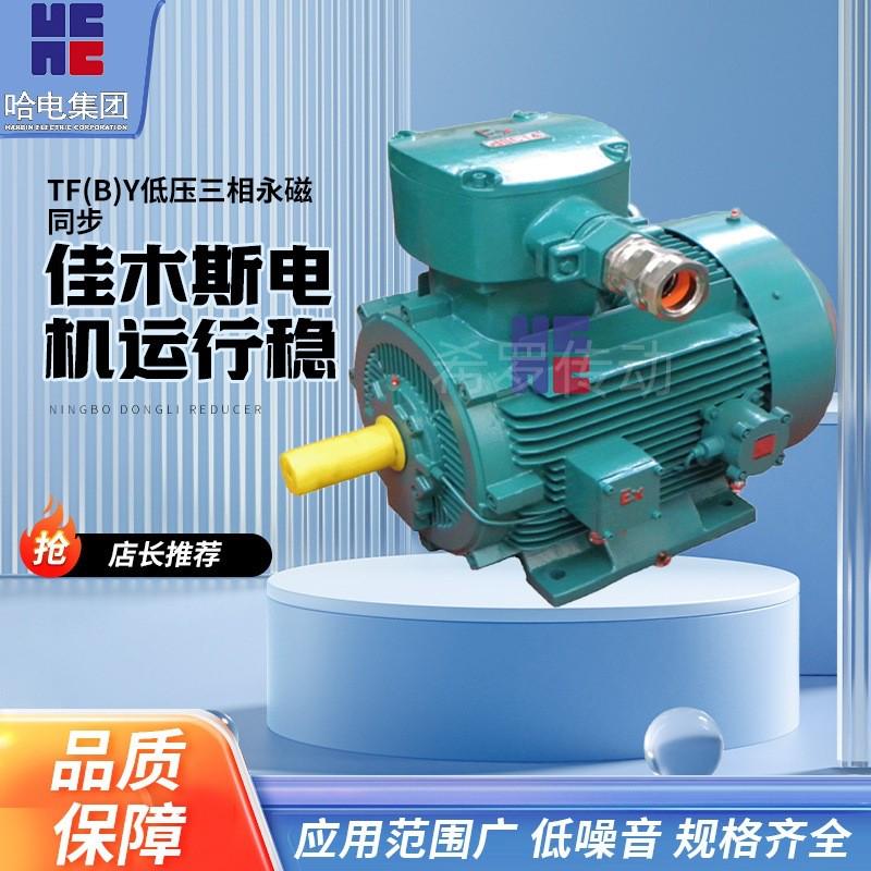 热销佳木斯电机马达TF（B）Y低压隔爆型三相永磁同步发电机1.5kw2