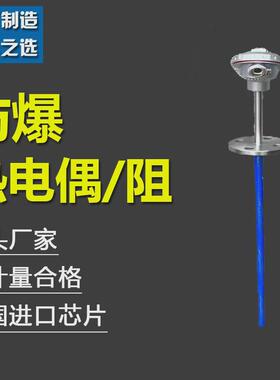 耐磨用电厂热电偶wrn2-433k型不锈钢热电偶pt100热电阻测高温度