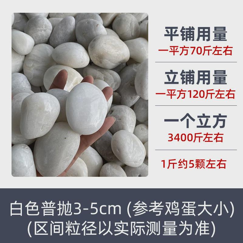白色鹅卵石工程铺路园林造景盆栽鱼缸水培装饰阳台造景雨花石包邮