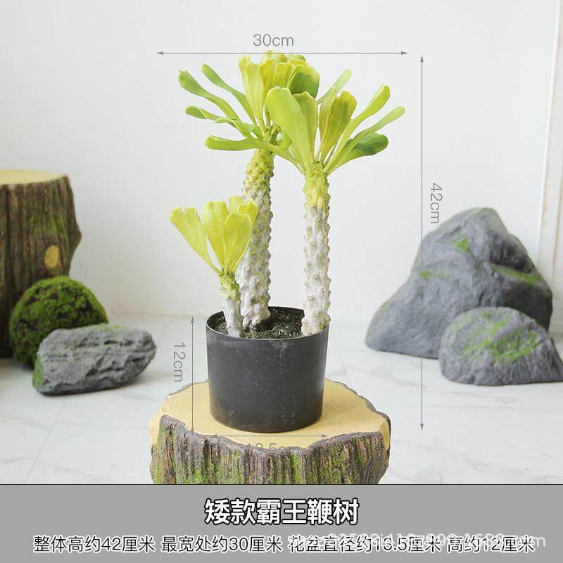 店铺非洲霸王树盆栽热带沙漠绿植假植物软装仿真橱窗造景装饰摆件