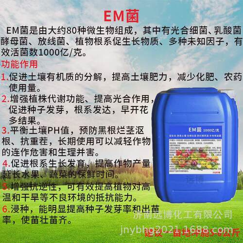 EM菌农业用改良土壤促生长保花保果提高产量液体复合有益菌em菌
