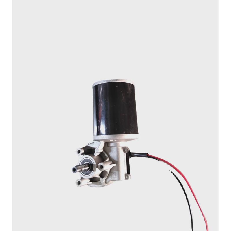 小批量厂家定制12V24V直流防水涡轮蜗杆减速电机自动擦鞋机电机