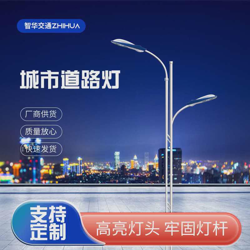 厂家供应双臂路灯户外6米8米12米led市电路灯小区道路照明led路灯