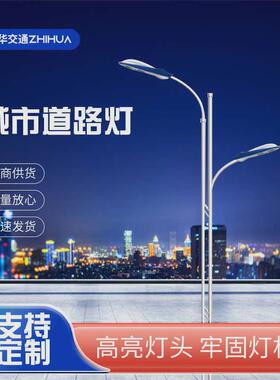 厂家供应双臂路灯户外6米8米12米led市电路灯小区道路照明led路灯