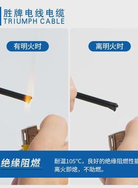 并牌东莞电线spt-118a2芯41/.160as黑色双胜扁平电源线