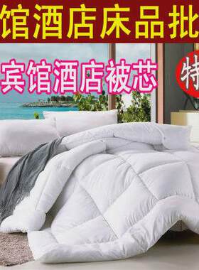 宾馆酒店专用纯白色九孔丝棉被芯双单人床上空调被加厚春秋冬被