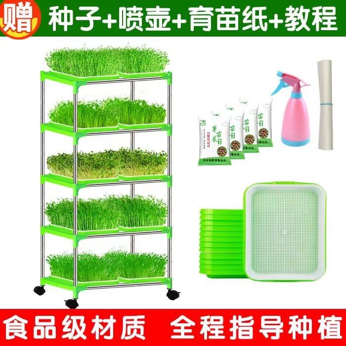 芽苗菜育苗托盘豆芽发芽盆豆苗种植无土栽培设备水培蔬菜芽菜盆
