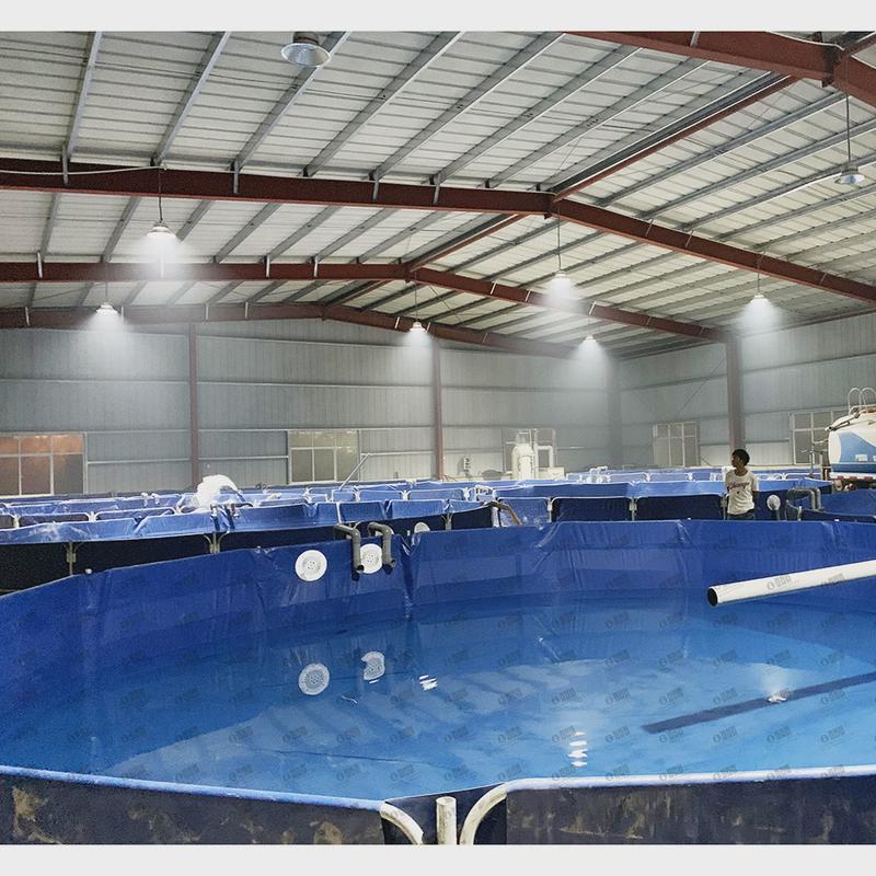 ras养殖融鱼类文旅城鱼类暂养项目循环水处理系统创养殖设备
