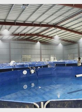 处理养殖融创文旅城鱼类暂养项目循环水ras系统鱼类养殖设备