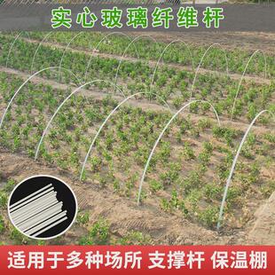 菜棚支架小拱棚支撑架玻璃纤维弹力杆拱形大棚骨架农用搭棚菜园竿