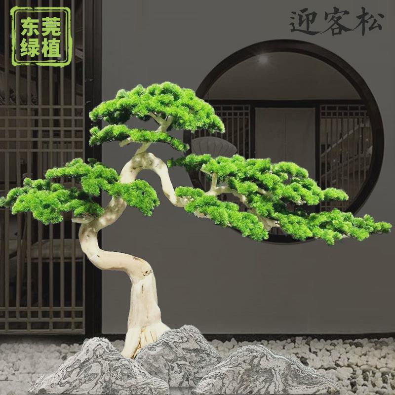 假松树罗汉松假树室内装饰摆件道具迎客松景观造型仿真迎客松松树