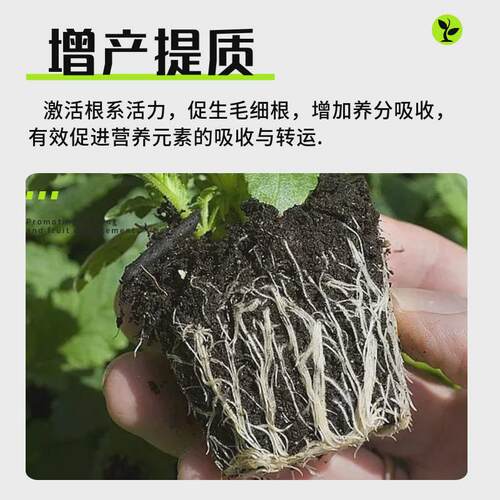 九微生物9种菌肽菌肥修复土壤防病促壮增产提质补菌用生物菌厂家