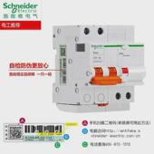 施耐1p n漏电开关带2p空开保护器断路器漏保ea9家用总开2p63a