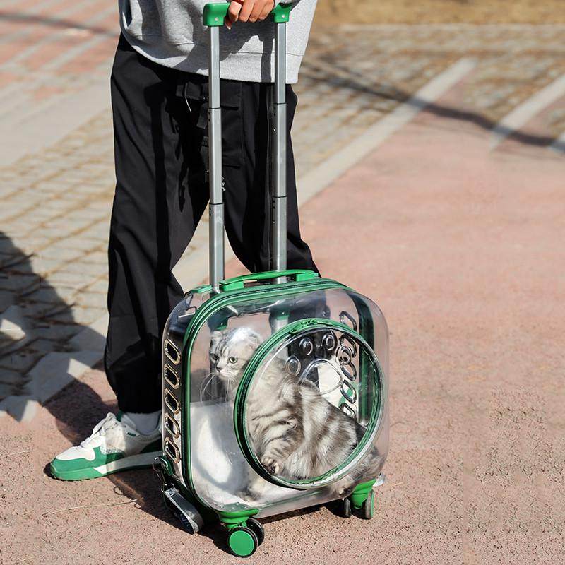 猫咪外出便携箱包宠物拉杆泡泡箱透明太空舱双肩背包狗狗出门推车,宠物/宠物食品及用品,背包/箱包,淘宝优惠券,粉丝福利购,淘宝优惠卷