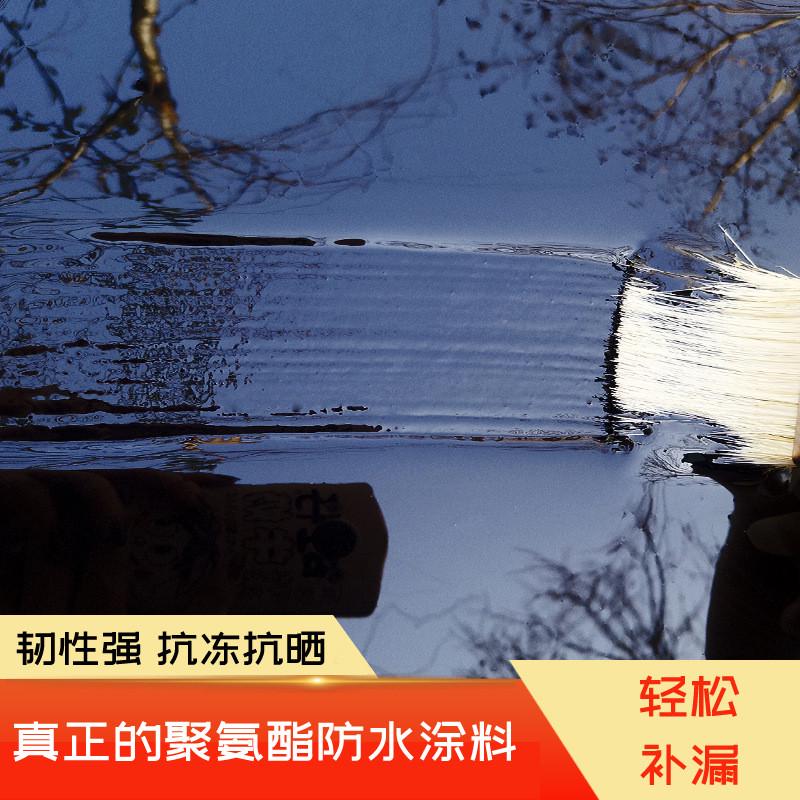 聚氨酯防水涂料卫生间厨房楼顶漏水堵漏王阳台屋面裂缝修补