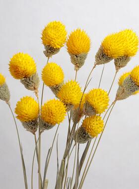 云南干花草莓果干花手工DIY网红小花束百搭小清新插花家居装饰