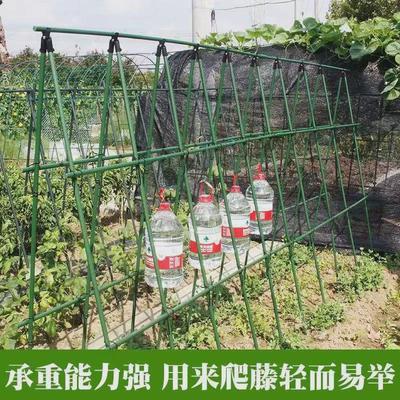 花架爬藤支架户外钢管园艺花架月季爬藤杆植物黄瓜架包塑爬藤架