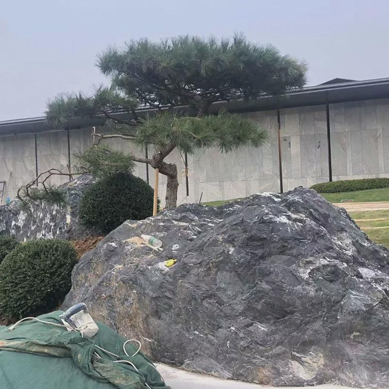 雪浪石切片组合景观石泰山石头枯山水造景小区庭院置石黑山石别墅