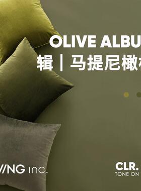 LIVING inc.橄榄天鹅绒 墨绿色抱枕沙发客厅轻奢复古靠枕床头靠垫