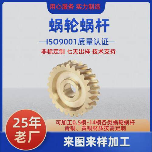 扫雪机蜗轮蜗杆加工耐磨损抛铜机蜗轮除雪机非标传动件雪涡轮蜗杆