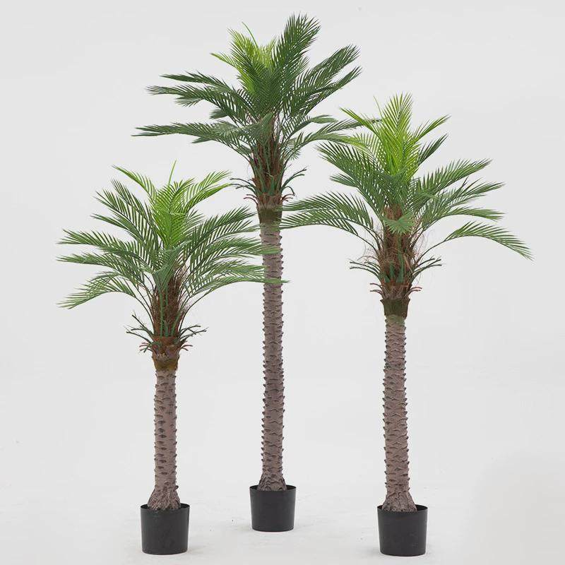 绿植室内大型仿真绿植盆栽摆件北欧仿真散尾葵假仿真树绿植盆景,鲜花速递/花卉仿真/绿植园艺,仿真绿植,淘宝优惠券,粉丝福利购,淘宝优惠卷