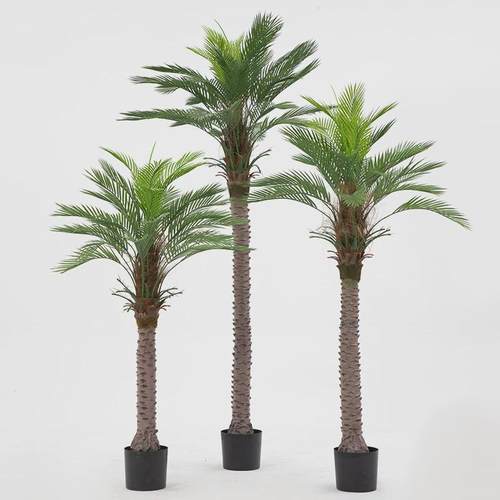 仿真树大型仿真绿植散尾葵北欧仿真盆栽摆件假绿植室内绿植盆景