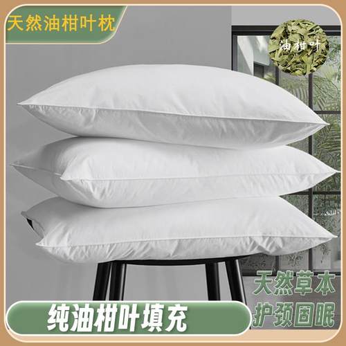 4u8k新鲜晒干野生油叶枕头芯夏凉枕牛柑叶油柑甘叶学生成人保