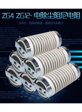 zg4zg12电除尘电阻电阻高压阻尼1000w1200w2000w2800w3000w