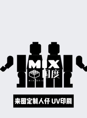 MIX国度乐得高式益智拼装S积木人仔UV第三方印刷来图个性定制玩具