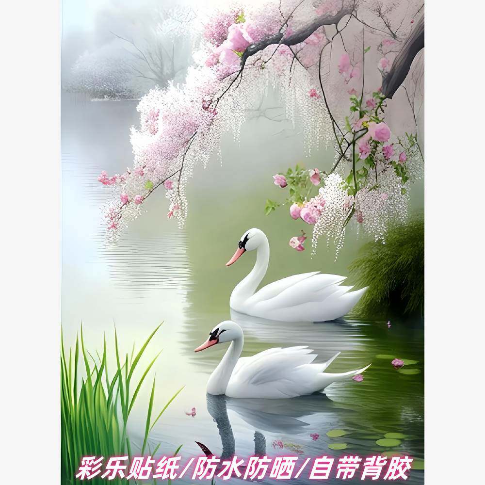 新款高贵天鹅海报自粘贴